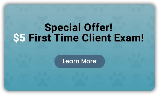 Special Offer! $5 First time Client Exam
